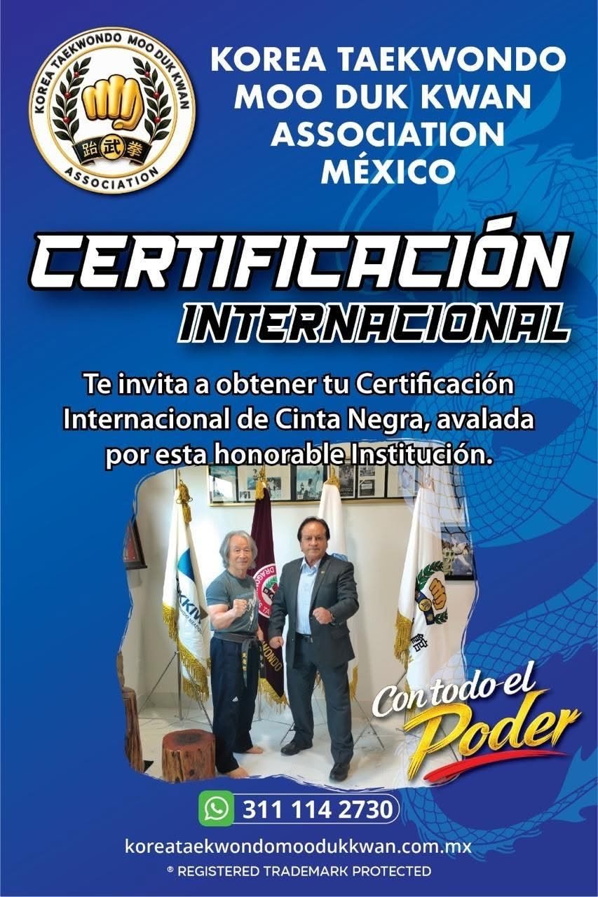 Certificación internacional de cinta negra